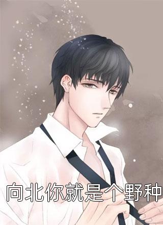 暮雪葬归途全文免费