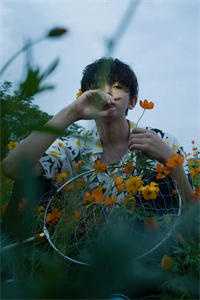 载你归程偿我悲欢前文+番外