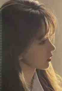 斯人若明月千里目录