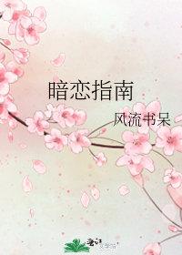 爱比烟花还寂寞热门小说