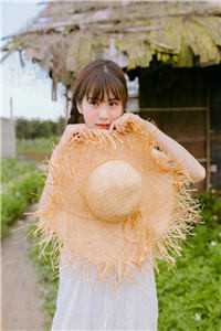 倚窗送风语小说全文免费