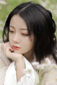 昨夜星辰昨夜风最新章节列表