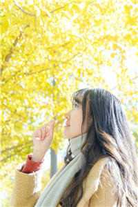 我以枯骨赴花期热门小说