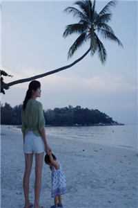 等一场夏日蝉鸣高质量好文