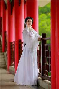 倚窗送风语小说在线阅读免费