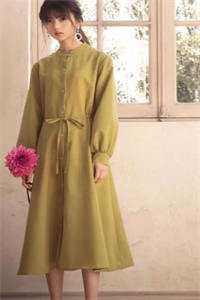 疏风云散待晴时乔砚舟傅清薇小说结局