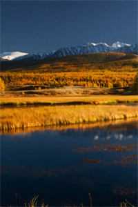 美女心机很深！我靠她直接鱼跃龙门良心推荐