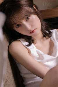 外交翻译官：我的征途是山河无恙在线看