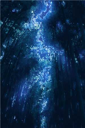 若逐光赴星海热门