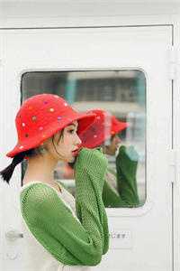 外交翻译官：我的征途是山河无恙完整作品