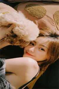 聿心向南大结局