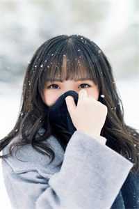 梨花树下故人去已完结