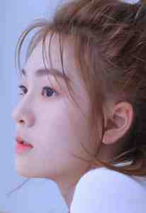 人间风月事，皆付温柔畅销巨著