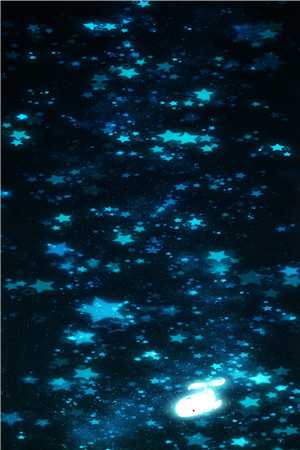 染尽夏梦碎星河小说免费阅读全文