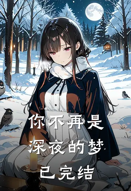 你不再是深夜的梦已完结