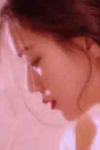 赠你朝暮时已迟高质量好文