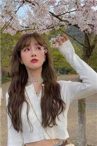 此后晚风皆是你人气小说