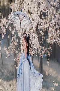 你瞒我也瞒，往事成笑谈人气小说