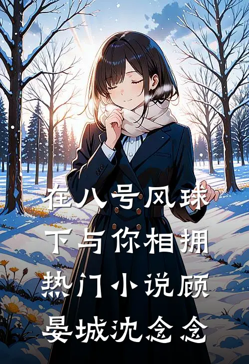 在八号风球下与你相拥热门小说顾晏城沈念念