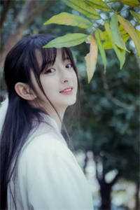 雾散时我忘记爱你全文免费