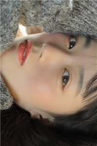 黎雨未至葬落日后续+结局