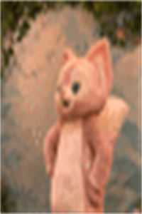 春风难覆桃花雪顾陵锋陆昭昭全集