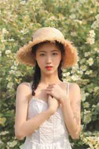 聿心向南未删节