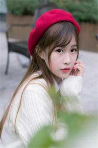 智者不入爱河好书