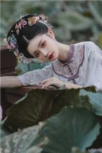 归春事晚杏花寒精彩