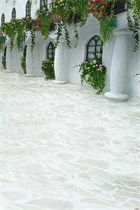 觉醒掌公主技能后，我大杀四方后续+番外