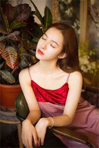 深渊尽处是灯火免费