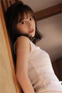 东瓶西镜放，恨不能遗忘后续