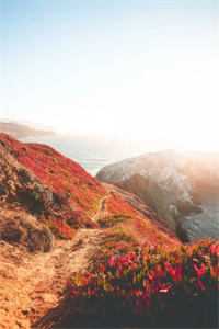 校花偷我黑卡请全班买labubu，我杀疯了全新