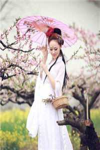 可曾怜惜中宵舞完结文