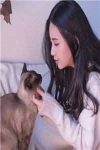 风雨如晦人不归目录