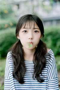 无爱难渡不夜港无删版