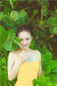 何以明月宴春山后续