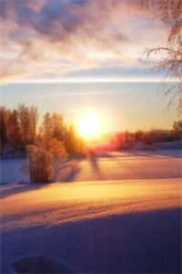 聚会上，老同学特意为我点了一盆水煮白菜抖音热门