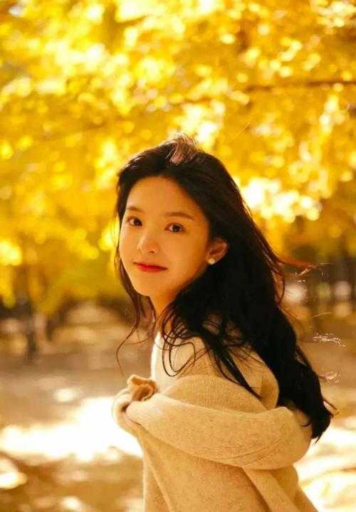 相偕不负良辰夜质量好文