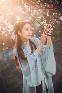 外交翻译官：我的征途是山河无恙后续