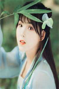 碎梦予长风无删减全文