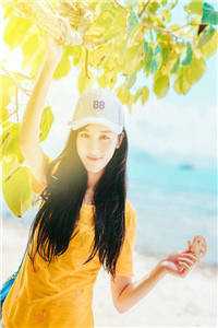 每日一签！我在冷宫苟成天花板全文+后续