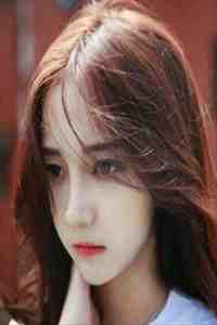 京北旧岁书小说大结局