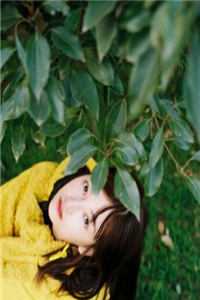 空抱一隅相思人气小说