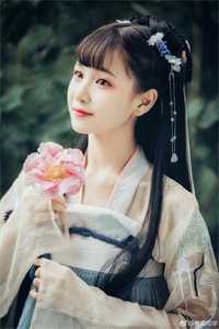 梨花暮雪断旧颜推荐