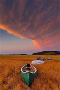 晚时风，吹散你完整阅读