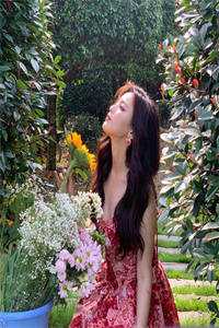 春深不归客，清梦不相逢全文章节