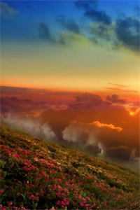 京少，夫人让你过来亲亲南昭宁京烁小说