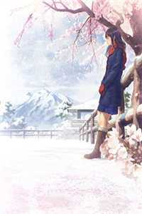 八零年代营长老公背着我跟寡嫂结婚，我选择成全完本