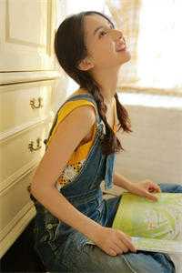 外交翻译官：我的征途是山河无恙无删减+无广告